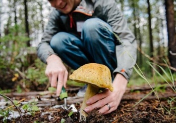 Будьте осторожны: в Запорожской области отец с сыном отравились грибами