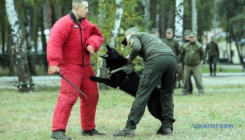 Поиск оружия и задержание преступников: под Киевом провели соревнования служебных собак