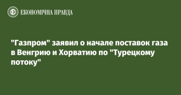 "Газпром" заявил о начале поставок газа в Венгрию и Хорватию по "Турецкому потоку"