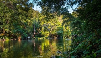В джунглях Амазонии - рекордная засуха