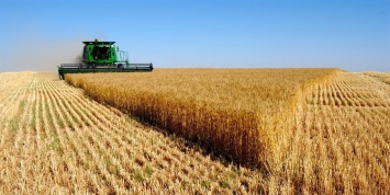 Узбекистан захотел использовать российскую землю для своих сельхознужд