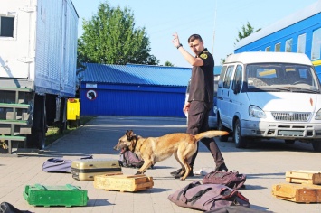 Одесские таможенники-кинологи прошли спецподготовку по поиску контрабанды