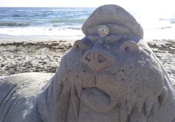 Три тонны песка: на Ланжероне создали самую большую скульптуру моржа