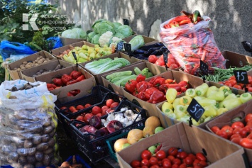 Крымские фермеры с начала года продали более 19 тысяч тонн сельхозпродукции