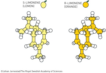 Нобелевскую премию по химии присудили за новые методы синтеза молекул