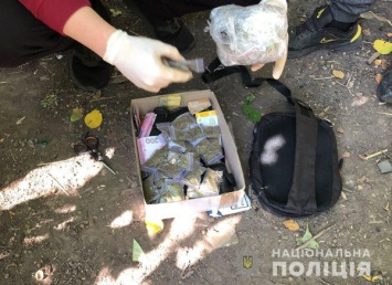 100 пакетиков с каннабисом: в Кривом Роге задержали наркосбытчика