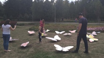В Кривом Роге из парка Героев украли трех бабочек