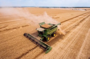 На Харьковщине собрали урожай зерновых и зернобобовых на 83% площадей