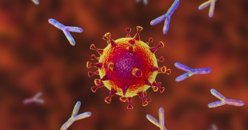 Через полгода после второй дозы происходит значительное снижение антител к коронавирусу, - исследование