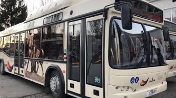 Жители Кривого Рога просят запустить новые маршруты городского транспорта: поддержите петицию