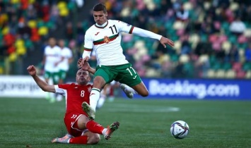 Литва - Болгария 3:1 Видео голов и обзор матча