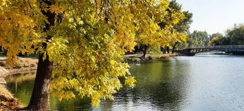 В главном парке Запорожья можно насладиться красивой осенью - фото