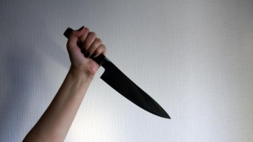 Изрезала ножом и кинула в колодец: под Винницей отличница жестоко убила мать
