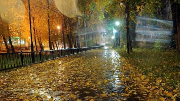 Украину накроют дожди: прогноз погоды на 13 октября