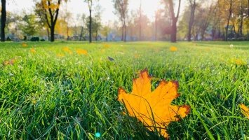 Очаровательный октябрь: фотографии осеннего Покрова