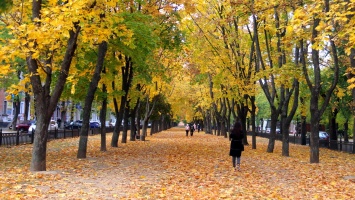 Осенние пейзажи: как выглядит Никополь в октябре