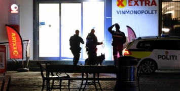 Полиция Норвегии проверит психическое здоровье стрелка, который убил из лука 5 человек