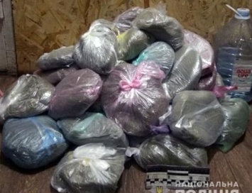 В Запорожской области мужчина хранил дома наркотики на сумму полмиллиона гривен
