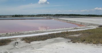 ФГИ продал соляные промыслы на Кинбурнском полуострове за 45 млн грн