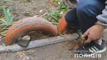 Одесские полицейские задержали похитителей зеркал с элитных авто