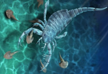 Царь скорпионов. Палеонтологи нашли в Китае останки гигантского чудовища, им 400 млн. лет