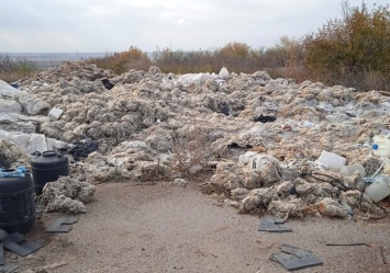 Опасная свалка химических отходов под Запорожьем: в полиции сообщили подробности