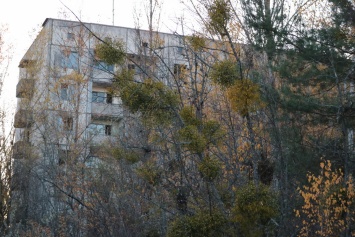 В Чернобыльской зоне практически отсутствует мобильный интернет 4G