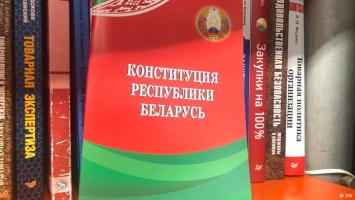 Референдум по Конституции Беларуси: оппозиция ищет оптимальную стратегию