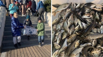 В Кривом Роге в реку Ингулец запустили 300 кг рыбы. Как это было