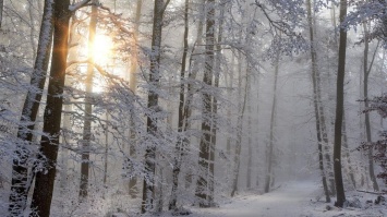 В Украину идет опасная погода со снегом