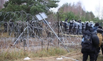 Группа нелегальных мигрантов прорвалась на территорию Польши из Беларуси