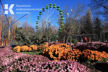 В парке имени Гагарина в Симферополе заработало колесо обозрения