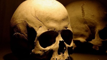 В Кривом Роге возле училища нашли человеческий череп