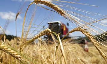 В Минагро объяснили принципы работы Фонда частичного гарантирования кредитов фермерам