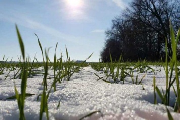 Синоптики дали аномальный прогноз погоды на зиму в Украине