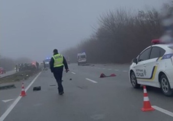 На трассе Днепр-Запорожье произошло жуткое смертельное ДТП (видео)