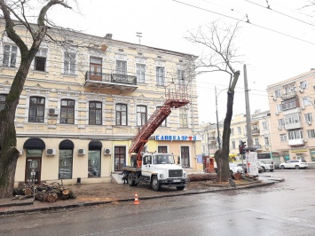 На Новосельского коммунальщики обрезают деревья