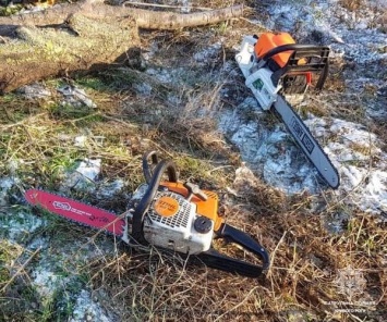 В Кривом Роге патрульные обнаружили лесорубов - браконьеров