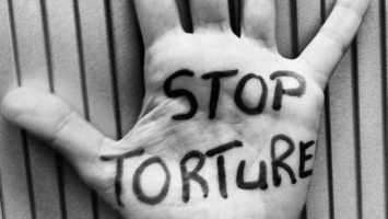 Право на реабилитацию жертв пыток: в Никополе опытом поделились правозащитники из Грузии