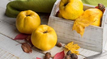 Где в Киеве купить свежие мандарины, айву и авокадо возле дома: адрес