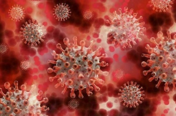 За сутки в Украине 13 777 новых случаев коронавируса и 509 смертей