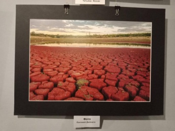 В Криворожском выставочном зале свои работы представили фотохудожники