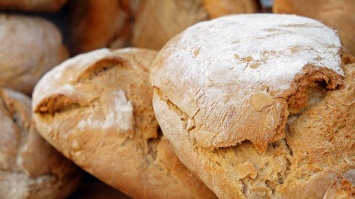 В Украине катастрофически не хватает зерна: сколько придется платить за хлеб