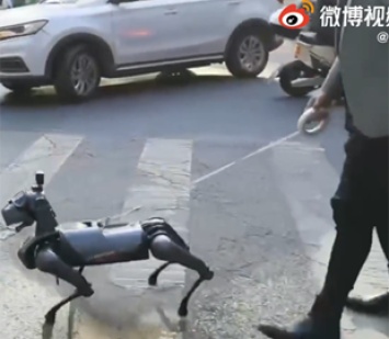 На улицах Шанхая заметили первого робопса Xiaomi CyberDog