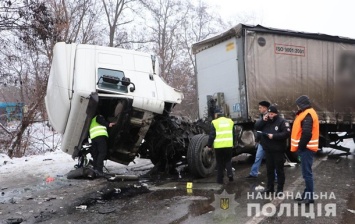 ДТП с 13 жертвами: полиция задержала водителя фуры