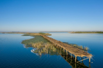 ДТЭК построил 1500 кв. м. птичьих островов на территории РЛП Тилигульский в Николаевской области