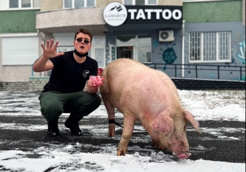 Владельцы скандального тату-салона рассказали, зачем им нужна была свинья