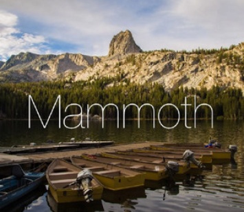 Следующая версия macOS может называться Mammoth
