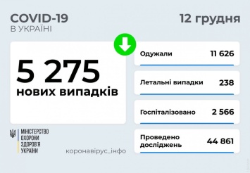 В Украине за сутки коронавирус обнаружили у более пяти тысяч человек, умерли 238 инфицированных