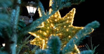 В Киеве главную елку зажгут 18 декабря
